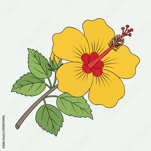 Vibrant Yellow Hibiscus Flower with Green Leaves Illustration for Nature and Botanical Themes