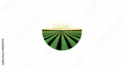 Sunrise over lush green agricultural fields, symbolizing growth and harvest