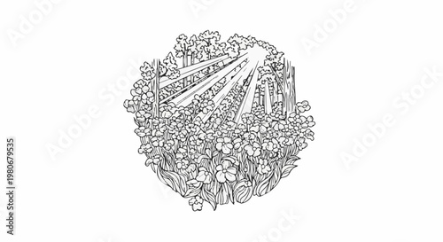 Sunlight streams through trees onto a field of blooming flowers