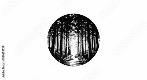 Sunburst through trees creates pathway of light in a dark forest circle