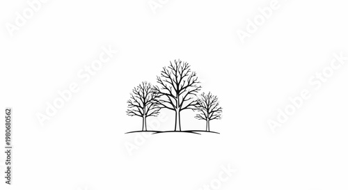 Three bare trees with intricate branches stand on a gentle slope