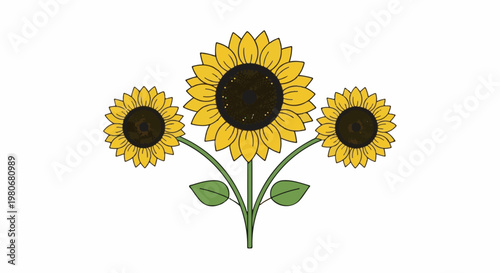 Three bright yellow sunflowers with dark centers bloom on green stems