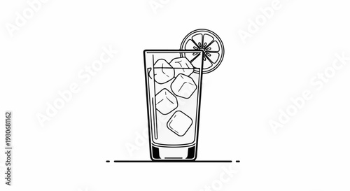 Tall glass filled with ice cubes and a slice of citrus fruit