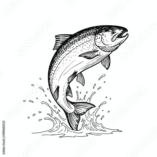 Dynamic Illustration of a Fish Leaping Out of Water for Nature and Fishing Themes