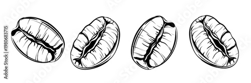 Coffee Beans Border Seamless Vector, Black and White Line Art Frame, Decorative Food Pattern Clipart Design