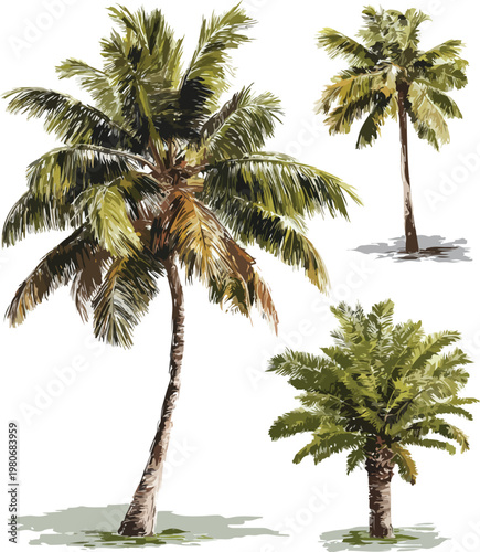 Palm tree on a tropical beach with white background, isolated summer vacation scene with sea, ocean, island, nature and green leaves under sun