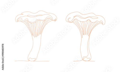 Continuous line chanterelle mushroom sketch, vector icon isolated on white background.