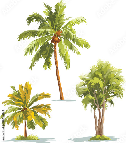 tropical palm tree vector illustration featuring green palm trees isolated on white background