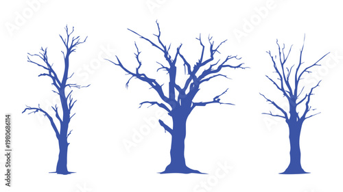 Silhouette Serenity: Silhouette trees are against a backdrop, evoking a sense of tranquility and stark beauty. Each tree stands as a solitary figure.