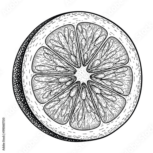Close up of a Fresh Citrus Fruit Slice for Healthy Eating and Refreshing Snacks
