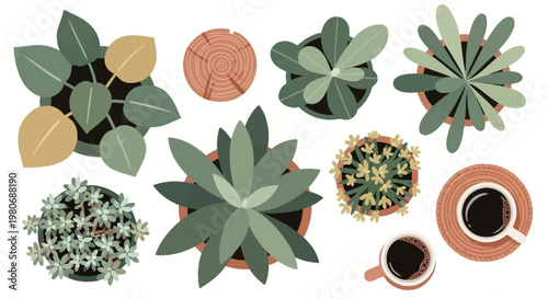 Boho Style Vector Top View House Plants Set with Grain Texture 
