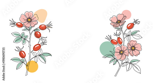 Rosehip plant branches with pink flowers and red berries illustrated in a delicate continuous line drawing style on a clean white background.