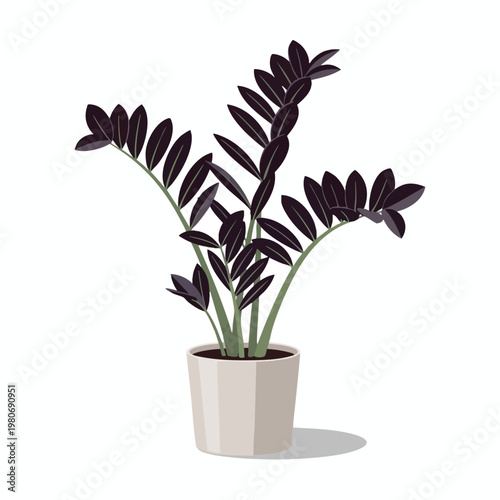 Elegant Indoor Plant with Dark Green Foliage in Modern Pot for Home Decor