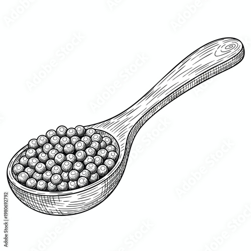 Illustration of a Wooden Spoon Filled with Tiny Spherical Grains