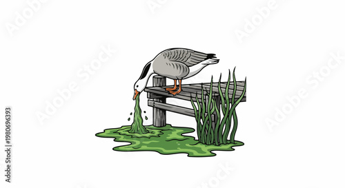 Gray goose regurgitates green slime onto wooden dock