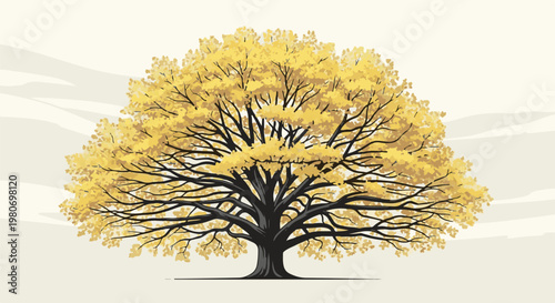 A large, spreading tree with dense, golden leaves and dark, branching limbs