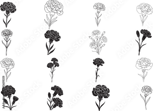 Carnation Floral Line Art Silhouette