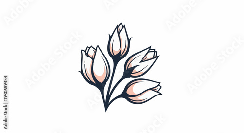 Stylized drawing of five unopened pink and white flower buds on dark stems