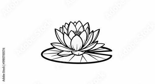 Black and white line art of a blooming water lily on a lily pad