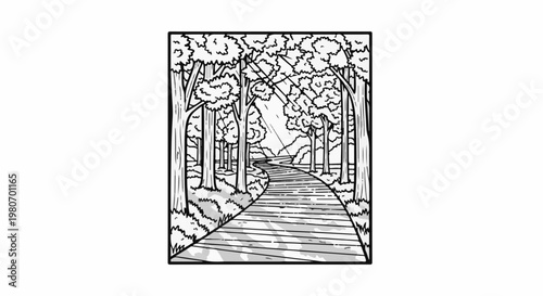 Winding forest path with sunlight filtering through trees