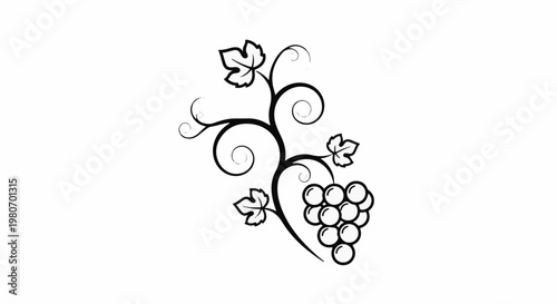 Elegant black vine with grapes and leaves, decorative flourish