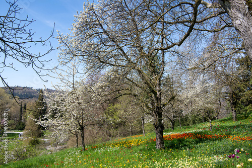 Frühling