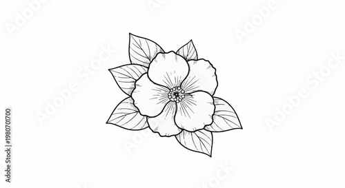 Detailed black and white drawing of a blooming flower with surrounding leaves