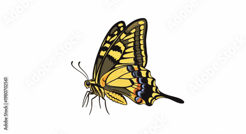 Yellow butterfly with intricate black and brown wing patterns