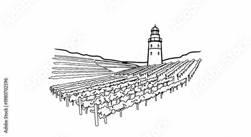 Lighthouse overseeing rows of grapevines on a hillside