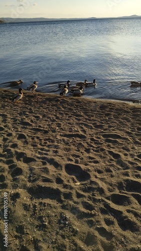 Sunset on Bolsena lake. Viterbo, Lazio. Italy