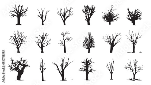 Silhouette of Serenity: A collection of various trees with a stark black silhouette, each one a unique testament to nature's resilience, standing silently against a serene backdrop.