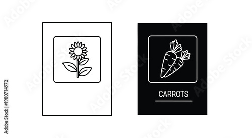 Minimalist vector graphic design featuring a beautiful sunflower and fresh carrots inside two simple square frames