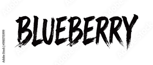 BLUEBERRY Handwriting