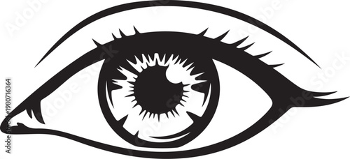 Black and white of a human eye