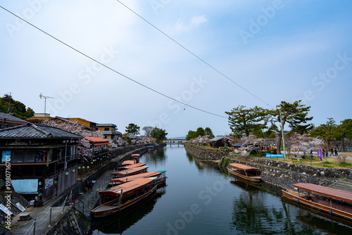 京都 宇治市 平等院鳳凰堂周辺の風景
