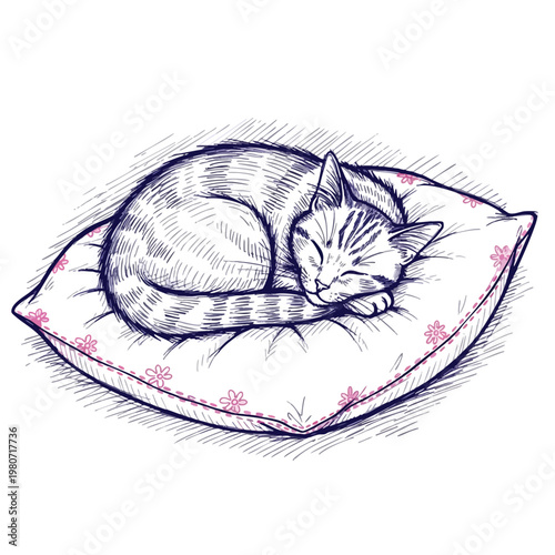 Peaceful Cat Sleeping on a Soft Cushion for Relaxation and Comfort