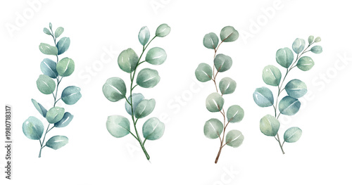 Watercolor round leaf design with green and yellow tones