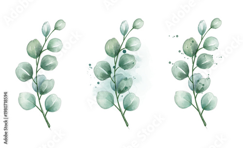 Watercolor leaves show simple green plant details in design