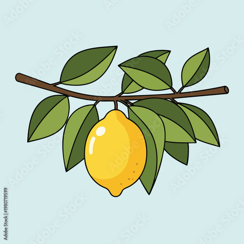 Bright Yellow Lemon Hanging from a Green Leafed Tree Branch