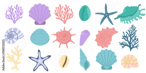 Collection of various seashells including starfish and coral elements arranged together. Marine objects isolated on light background, representing ocean theme, beach souvenirs, and underwater natural 