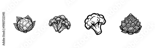 Cauliflower and Broccoli Brassica Vegetables with Detailed Inky Brushwork and Hand-Drawn Painterly Aesthetic