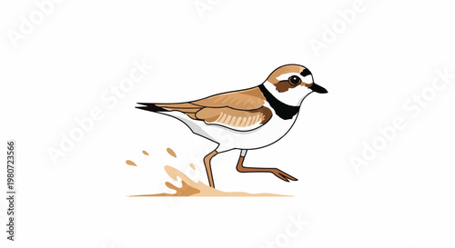Cute cartoon shorebird running through shallow water or sand