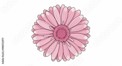 Vibrant pink daisy with detailed petals and a textured center