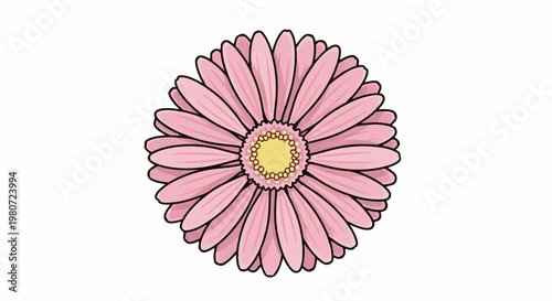 A single, stylized pink daisy with a yellow center and black outlines, set against a white background