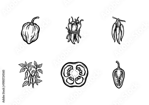 Hot Chili Peppers and Spicy Vegetable Elements with Hand-Drawn Inky Brushwork and Textured Ink Stroke Aesthetic