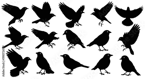 A flock of black birds in flight and perched silhouettes