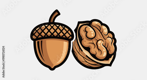 Stylized acorn and walnut halves presented side-by-side