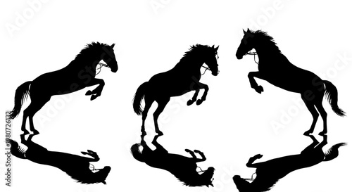Three majestic horses silhouette a dynamic and powerful equestrian display