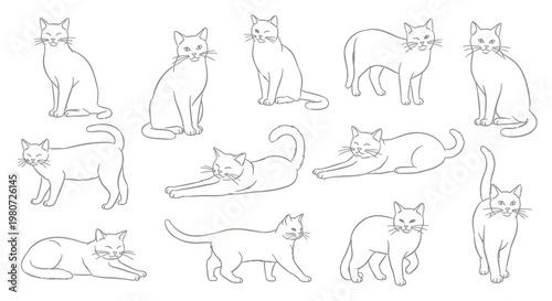 Collection of sketchy cat illustrations in various poses and styles