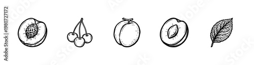 Stone Fruits and Orchard Harvest Elements with Inky Brushwork and Painterly Hand-Drawn Aesthetic